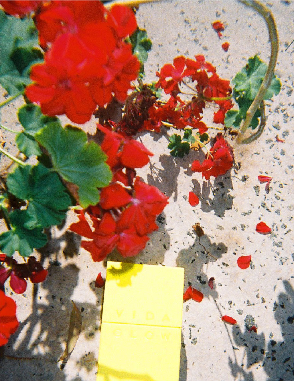 Pflanzenbasierte Schönheit: Was ist veganes Kollagen? Funktioniert veganes Kollagen?